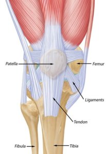 Stop suffering from knee pain by correcting postural or muscle imbalances